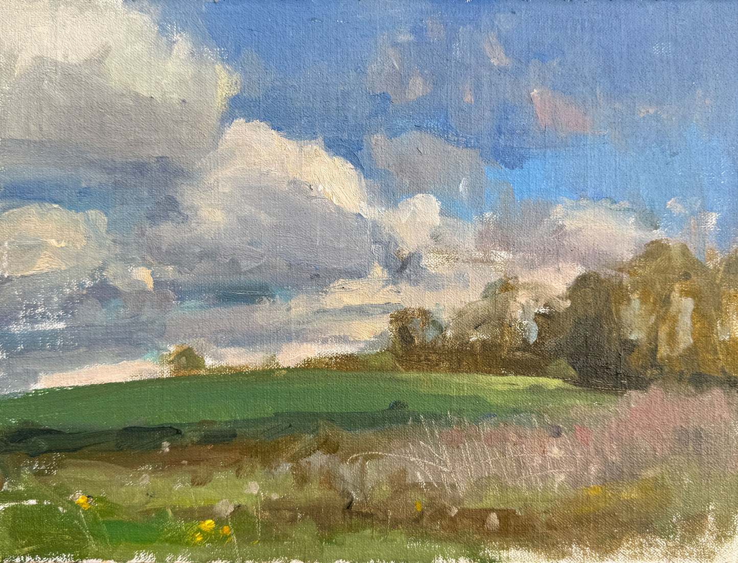 An oil painting on linen panel of a landscape painted in Melisey, France with clouds and buttercups by Sarah Manolescue ROI