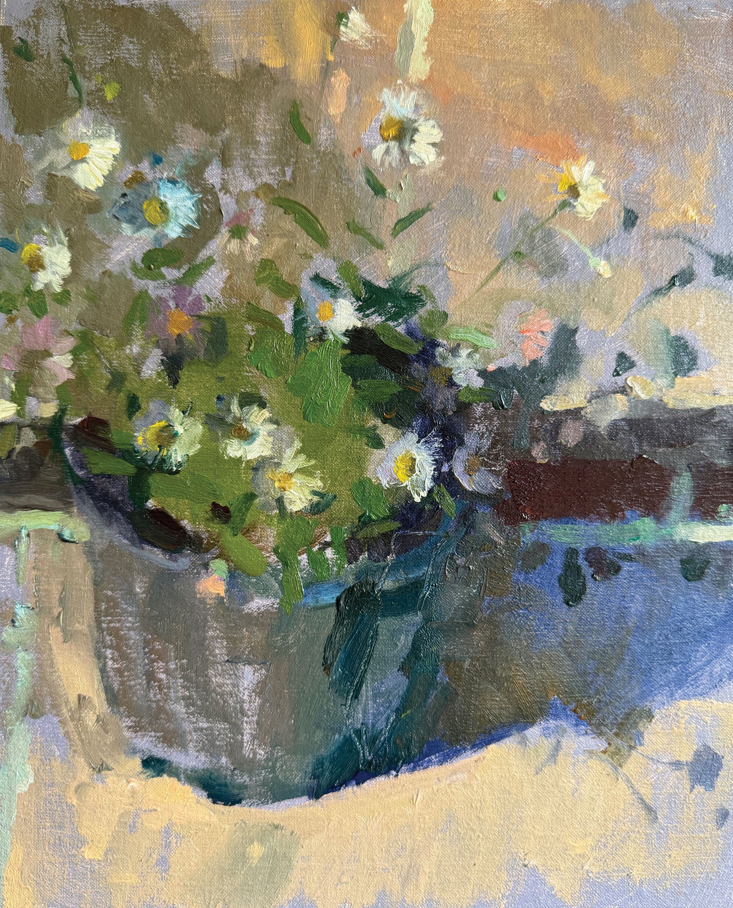 Evening erigeron