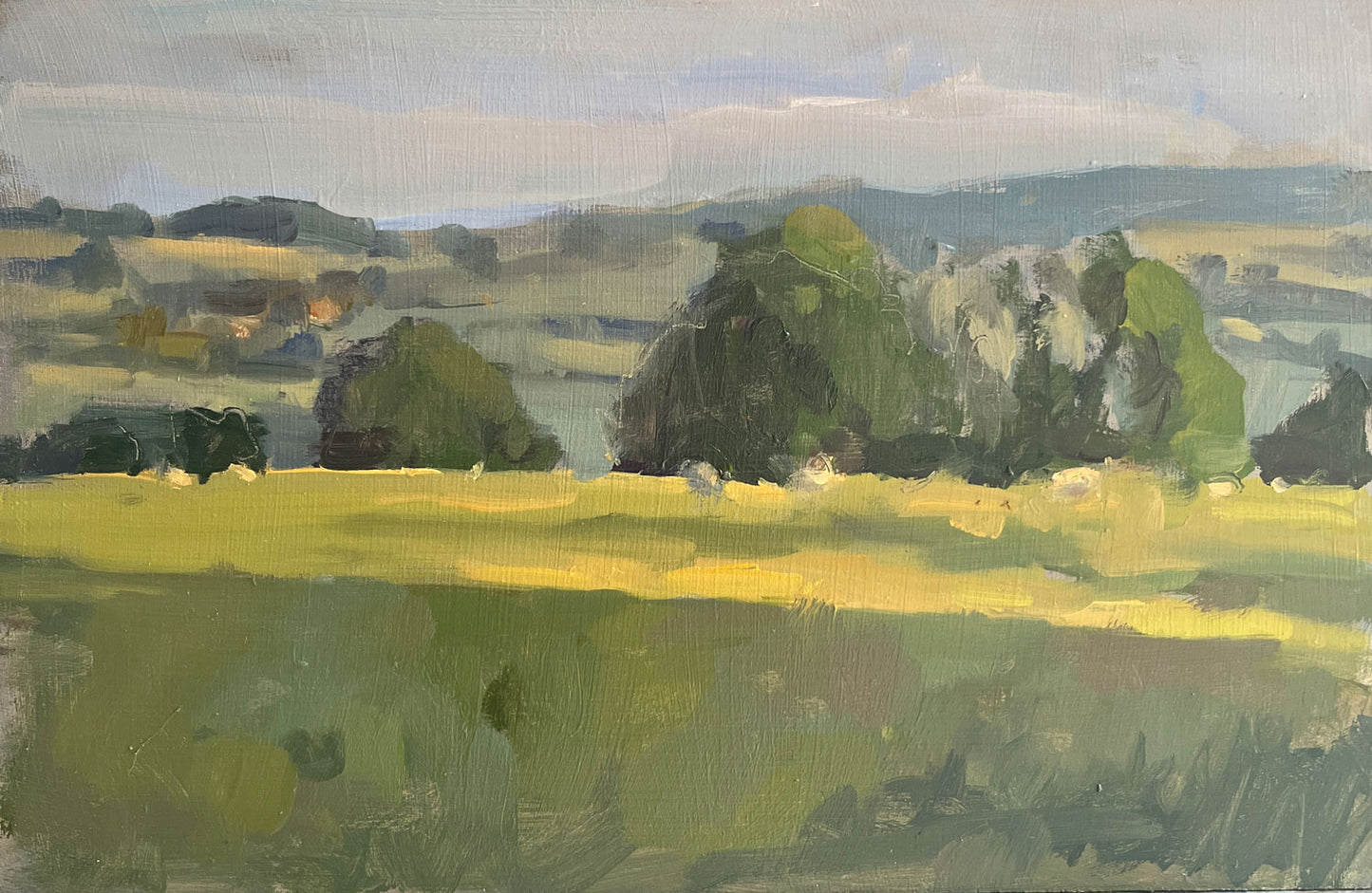 Grazing, the golden hour