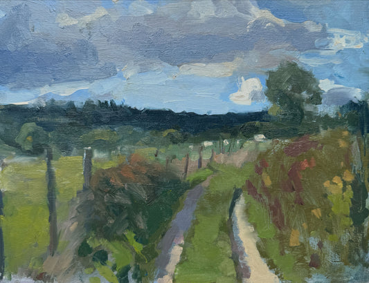 Half way up a hill on the South Downs Way