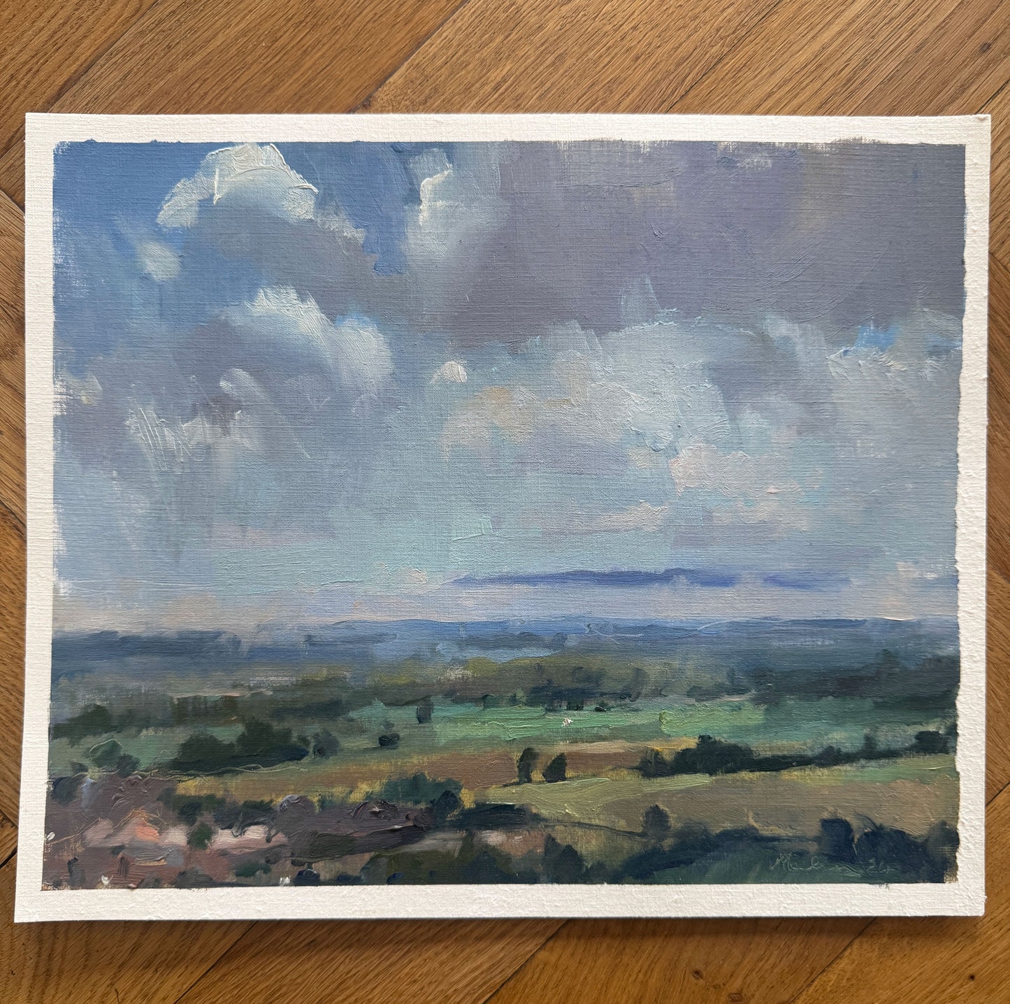 June mist, Trundle Hill