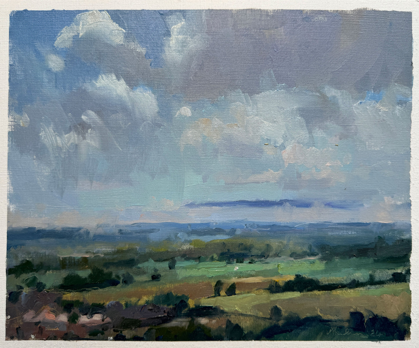 June mist, Trundle Hill