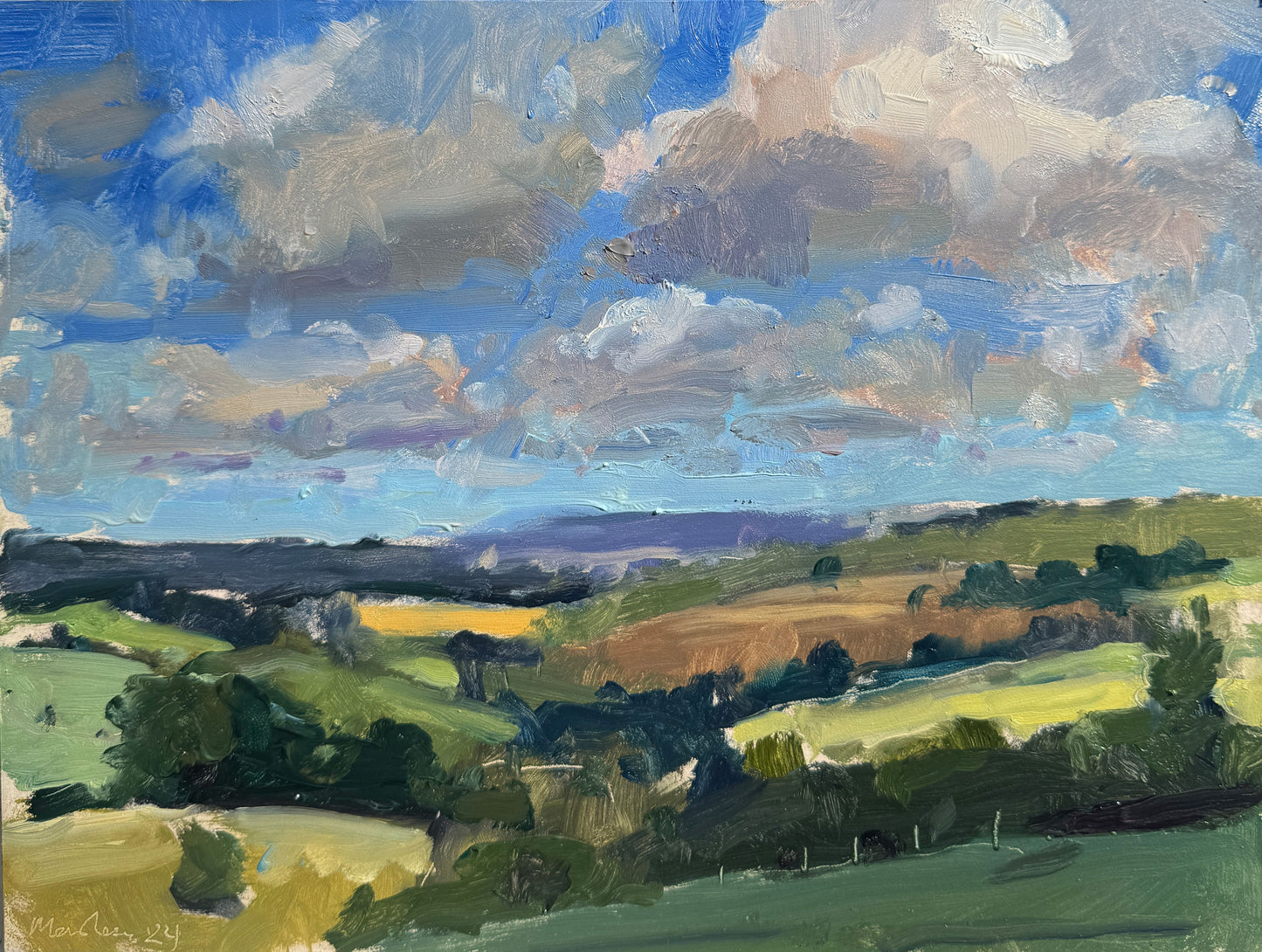 Summer's end, South Downs