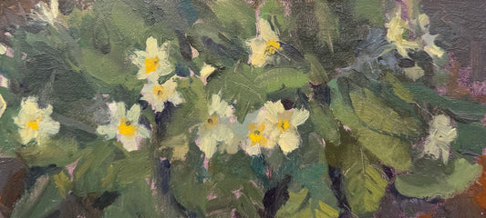 Bramshott primroses