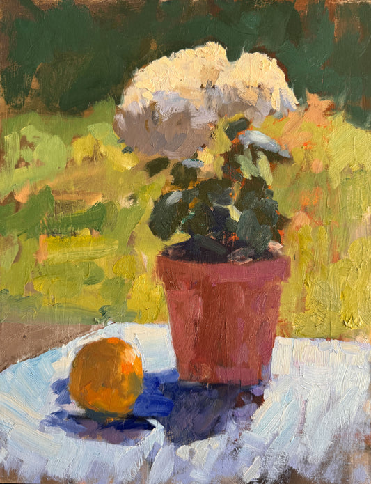 Chrysanthemum with orange