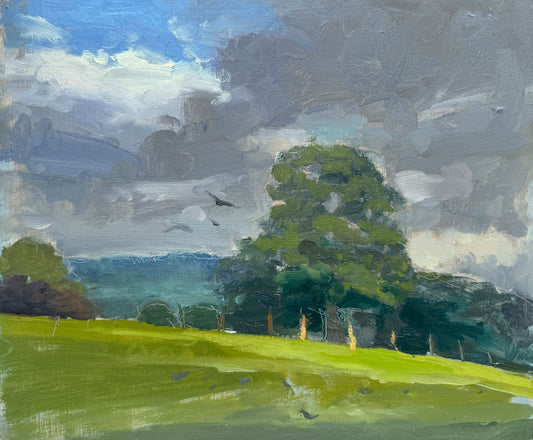Clearing skies, Cowdray Park