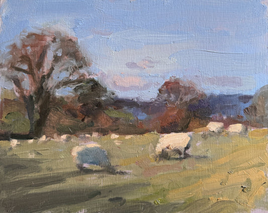 Day seven: Grazing sheep in a bitter wind