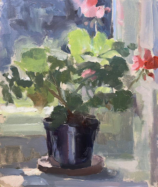 Early flowers, pelargonium