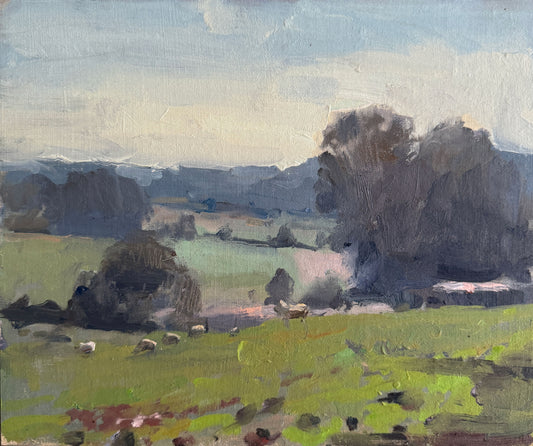 Sheep, Binderton