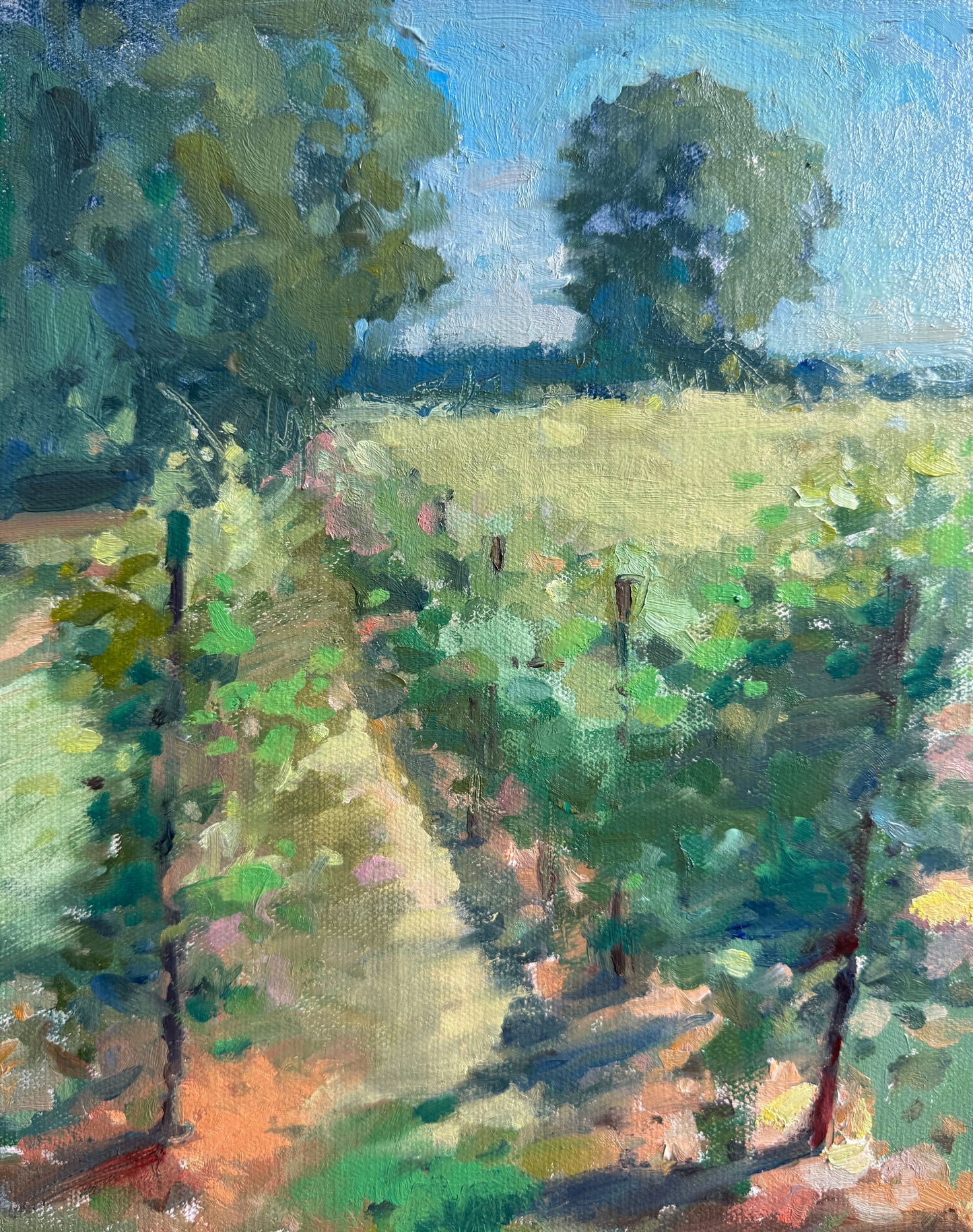 Vine rows, Nyetimber