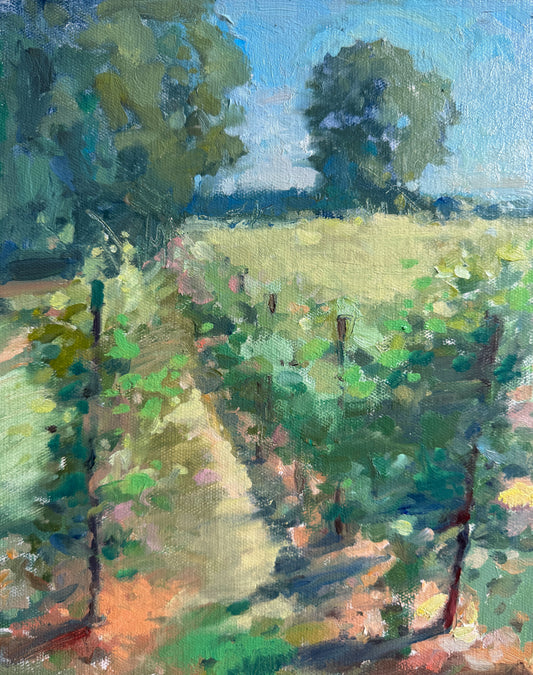 Vine rows, Nyetimber